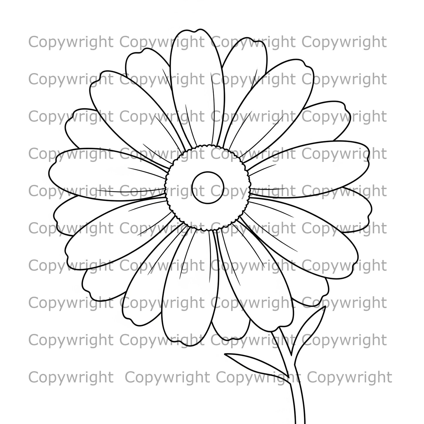 Daisy