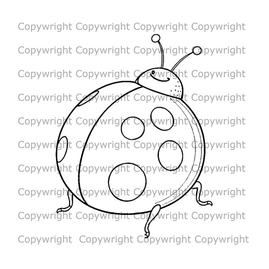 Ladybird